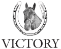 Victory - Tovább a termékekhez