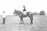 Mill Reef