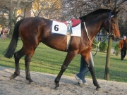 Rohanó patak