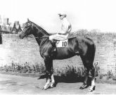 The Minstrel