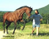 Western Star