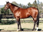 Danehill