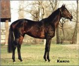 Kenzo