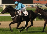 Koronafürt