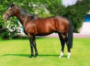 Sadler's Wells