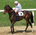 Verus